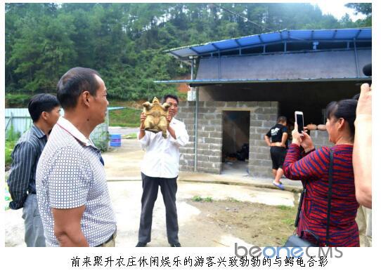 1526439254273007985.jpg 2.jpg